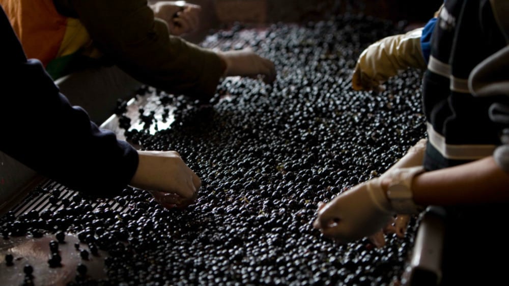 Handarbeit, Respekt und Präzision im Keller