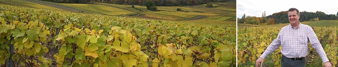 Image of Frédéric Maletrez