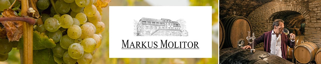 Markus Molitor (links) mit unserem Produktmanager Mario Scheele