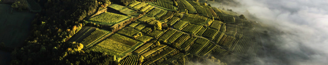 Image of Markus Huber