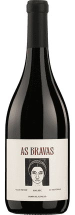 2017 Malbec El Enemigo As Bravas Cordón El Cepillo Valle de Uco Puerto Ancona