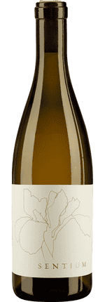 2022 Sentium Sauvignon Blanc Mendocino Sentium Wines