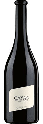 2022 Cayas Syrah Réserve Valais AOC Domaine Jean-René Germanier