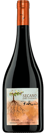2021 Syrah Secano Marchigue Valle de Colchagua Viña Polkura